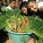 Bucket of carrots